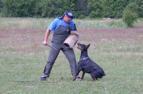 Training in Estonia 6/2007